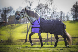 CAPA IMPERMEABLE PARA CABALLOS